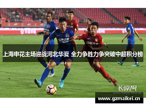 上海申花主场迎战河北华夏 全力争胜力争突破中超积分榜